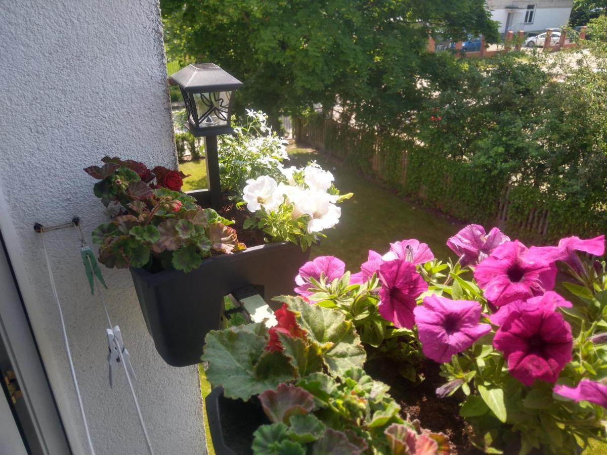 Apartament Olivia Centrum Z Zamknietym Parkingiem Gdańsk Exteriör bild